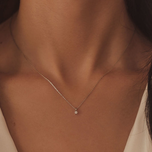 De la Paix Emily 14 karat white gold necklace with diamond 0.05 carat - - Isabel Bernard