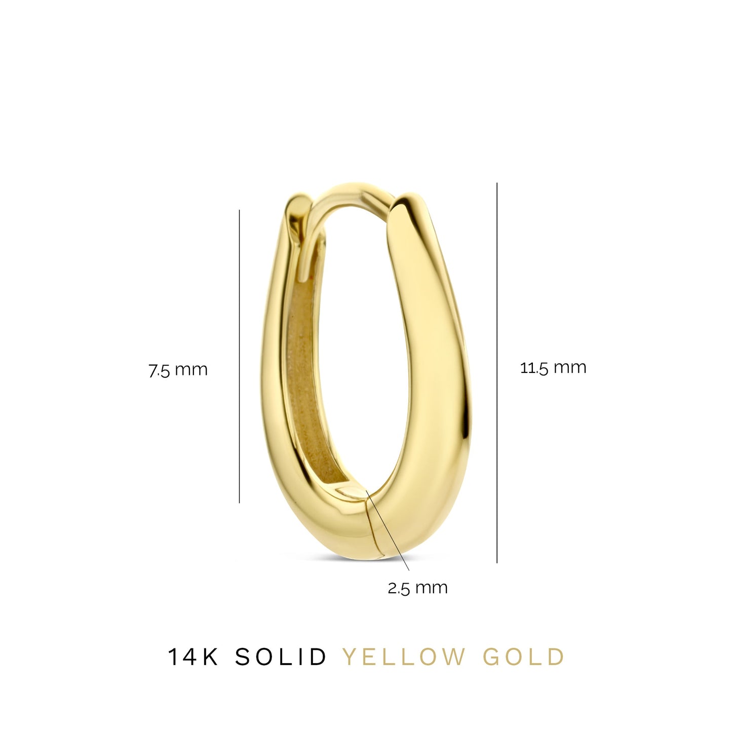 Rivoli Maryn 14 karat gold hoop earrings -  - Isabel Bernard