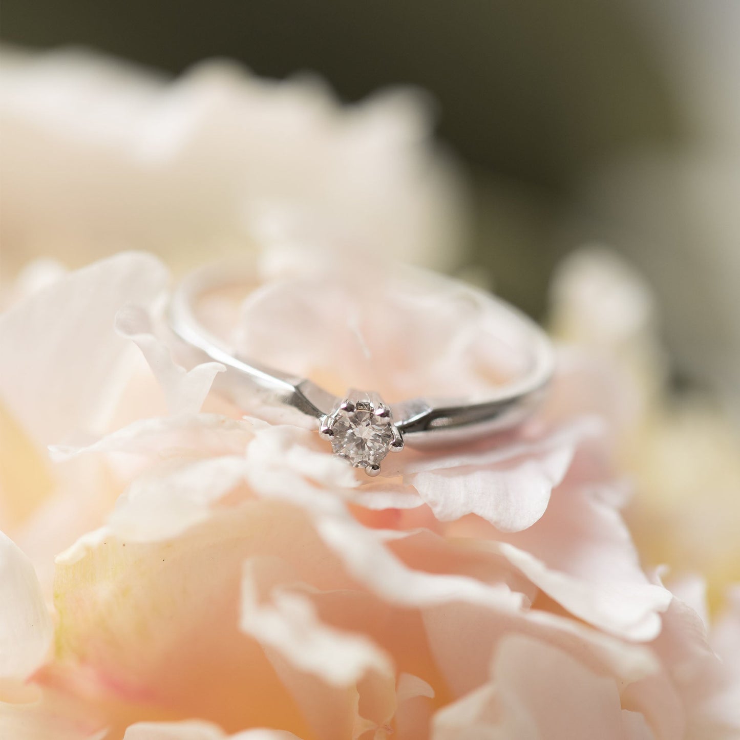 De la Paix Sybil 14 karat white gold ring with diamond 0.10 carat -  - Isabel Bernard